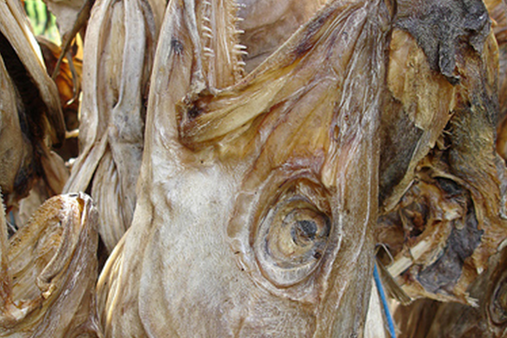 fishtest stockfish